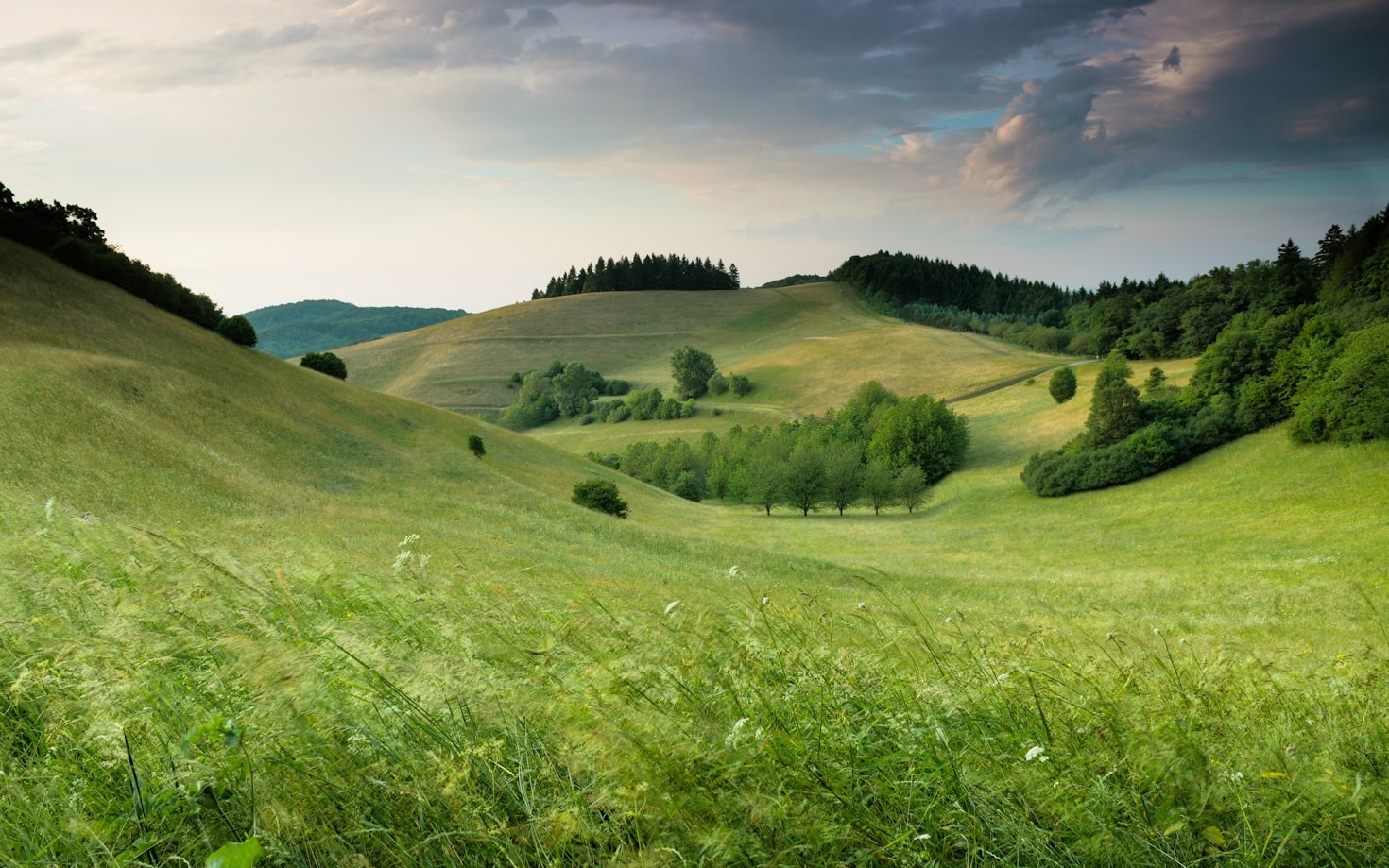 Visit Ireland's green and endless pastures- talk to Final Resurrection Ltd.
